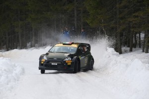 1455293245_Lorenzo_Bertelli